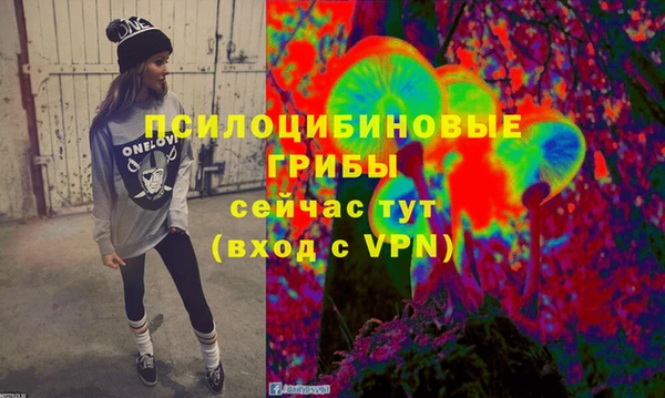 2c-b Волосово