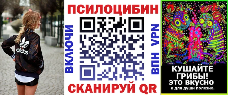 Галлюциногенные грибы Psilocybine cubensis  Купить  Белозерск 